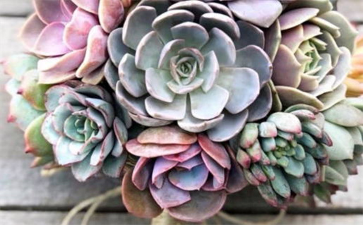 2031年农历腊月二十动土吉日查询 宜动土修造吉日查询