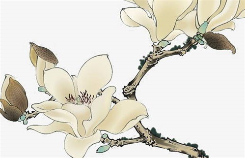 2029年02月04日动土吉日查询 是动土修造好日子吗