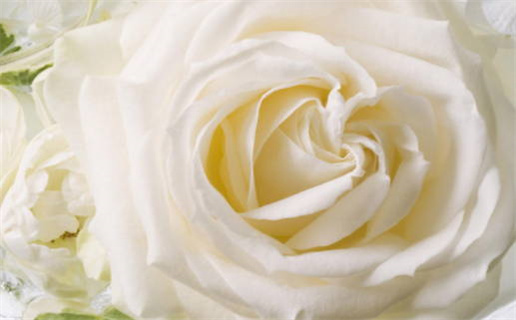 2026年农历腊月廿三结婚好不好 今日办喜事好吗 2026年农历腊月廿三结婚好不好 今日办喜事好吗