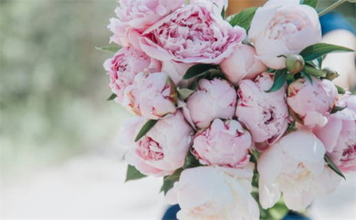 2029年农历三月初二结婚好不好 办喜事吉利吗 2029年农历三月初二结婚好不好 办喜事吉利吗