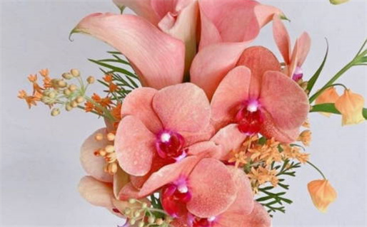 2029年08月31日结婚吉日查询 今日办婚礼好吗 2029年08月31日结婚吉日查询 今日办婚礼好吗