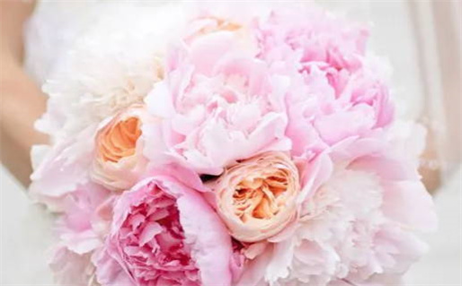 2031年农历四月初一结婚日子如何 今日办喜事好不好