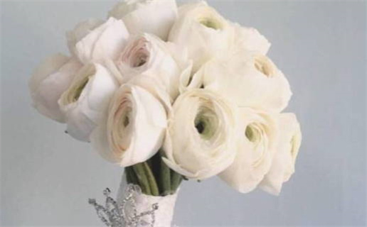 2028年农历二月初二领证好不好 登记结婚吉利吗 2028年农历二月初二领证好不好 登记结婚吉利吗