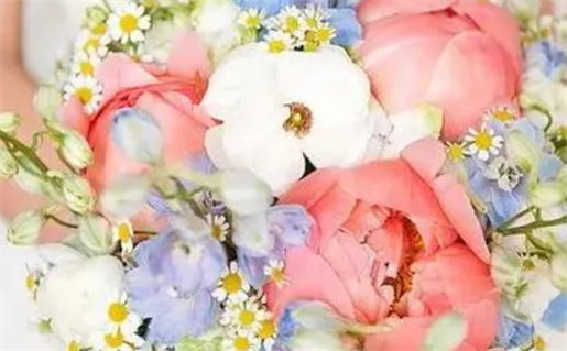 2026年12月23日是领证好日子吗 今日登记领证好不好 2026年12月23日是领证好日子吗 今日登记领证好不好