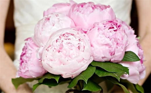 2026年08月21日领证黄道吉日 今日领证好不好 2026年08月21日领证黄道吉日 今日领证好不好