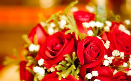 2025年12月29日领证黄道吉日 是领证结婚好日子吗 2025年12月29日领证黄道吉日 是领证结婚好日子吗