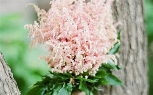 2029年02月22日领证黄道吉日 是登记领证好日子吗