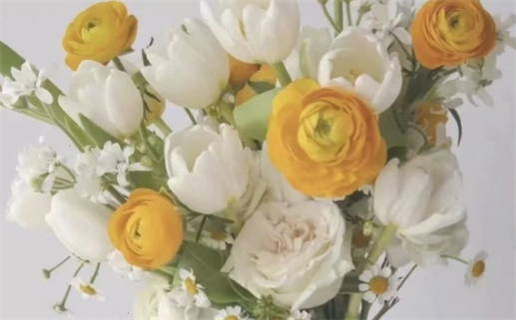 2031年01月31日领证吉日查询 今日登记领证好吗 2031年01月31日领证吉日查询 今日登记领证好吗