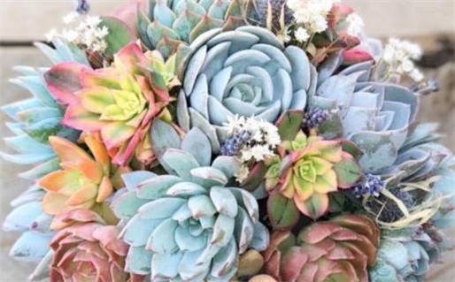 2029年农历十月廿七领证吉日查询 是登记领证好日子吗 2029年农历十月廿七领证吉日查询 是登记领证好日子吗