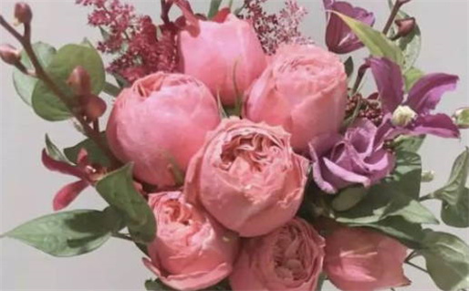 2026年08月10日领证吉日查询 今日领证结婚好不好 2026年08月10日领证吉日查询 今日领证结婚好不好