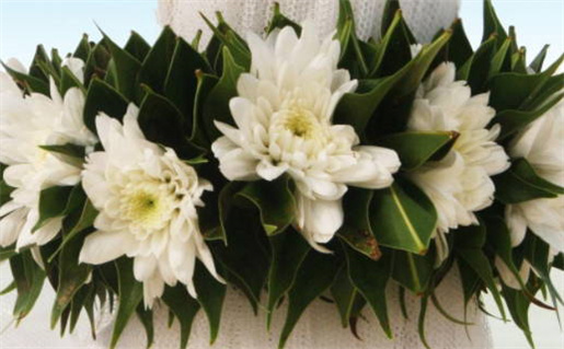 2027年农历八月廿六领证好吗 今日领证好吗