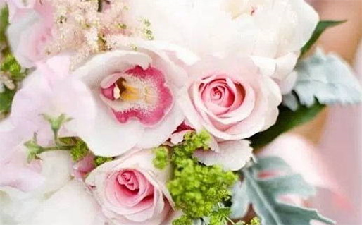 2026年农历五月十四领证好吗 宜登记结婚吉日查询 2026年农历五月十四领证好吗 宜登记结婚吉日查询