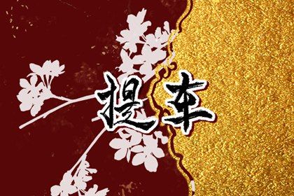2029年农历五月廿三是不是提车吉日 提车买车吉利吗