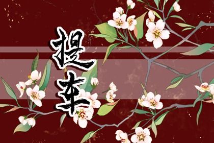 2028年04月23日提车好吗 今日买新车好不好