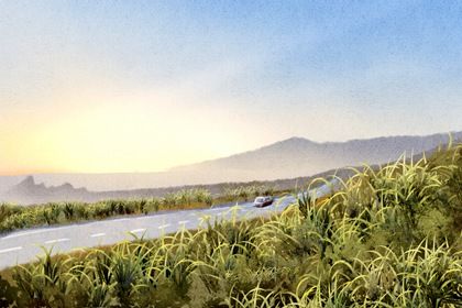 2030年农历九月十五提车日子如何 今日买新车好不好