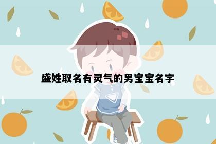 盛姓取名有灵气的男宝宝名字