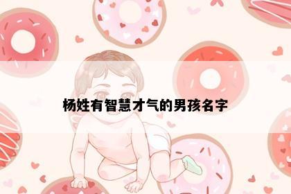 杨姓有智慧才气的男孩名字