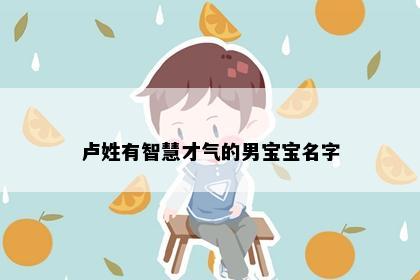 卢姓有智慧才气的男宝宝名字