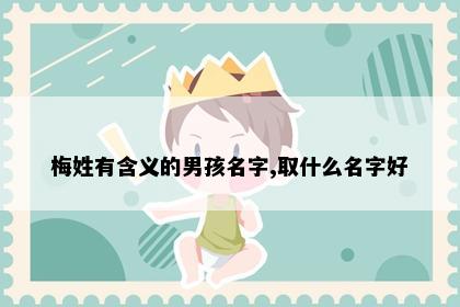 梅姓有含义的男孩名字,取什么名字好